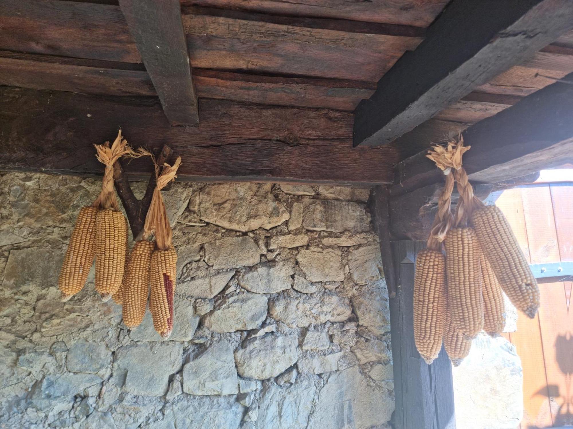 La Casa De Las Chimeneas Tudes エクステリア 写真